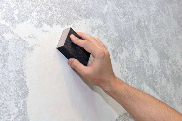 Best Dehumidification Services  in Livingston, MT