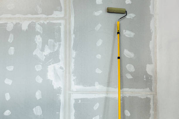 Best Mold Prevention Services  in Livingston, MT