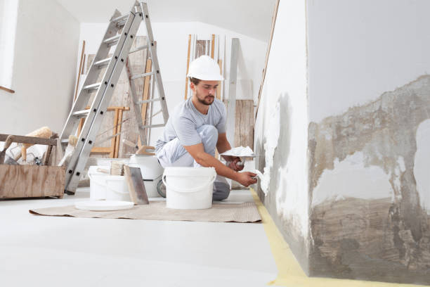 Best Basement Mold Removal  in Livingston, MT