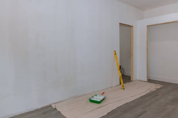 Best Mold Odor Removal Services  in Livingston, MT