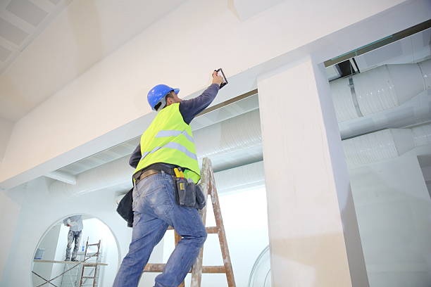 Best Crawl Space Mold Remediation  in Livingston, MT