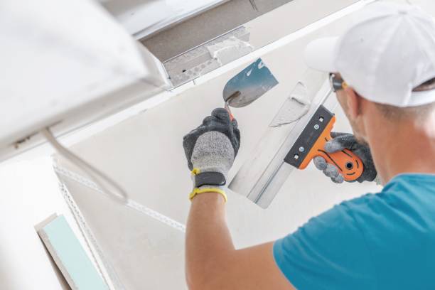Professional Mold Removal in Livingston, MT